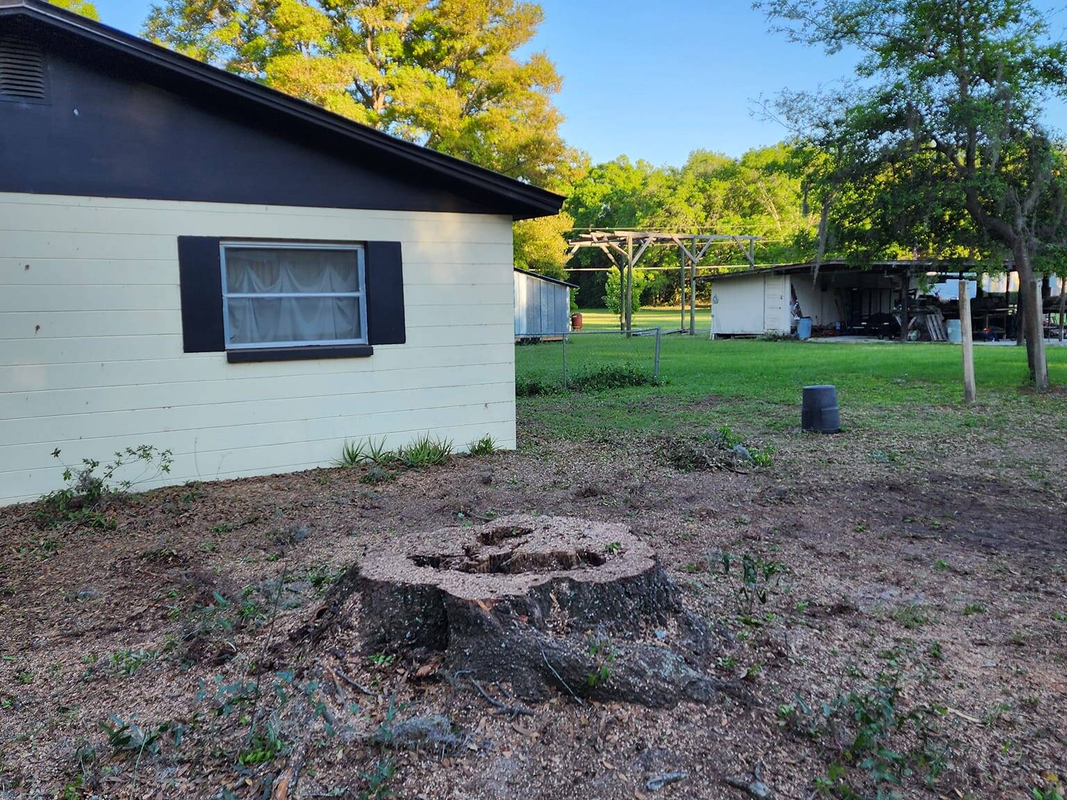Central florida stump removal