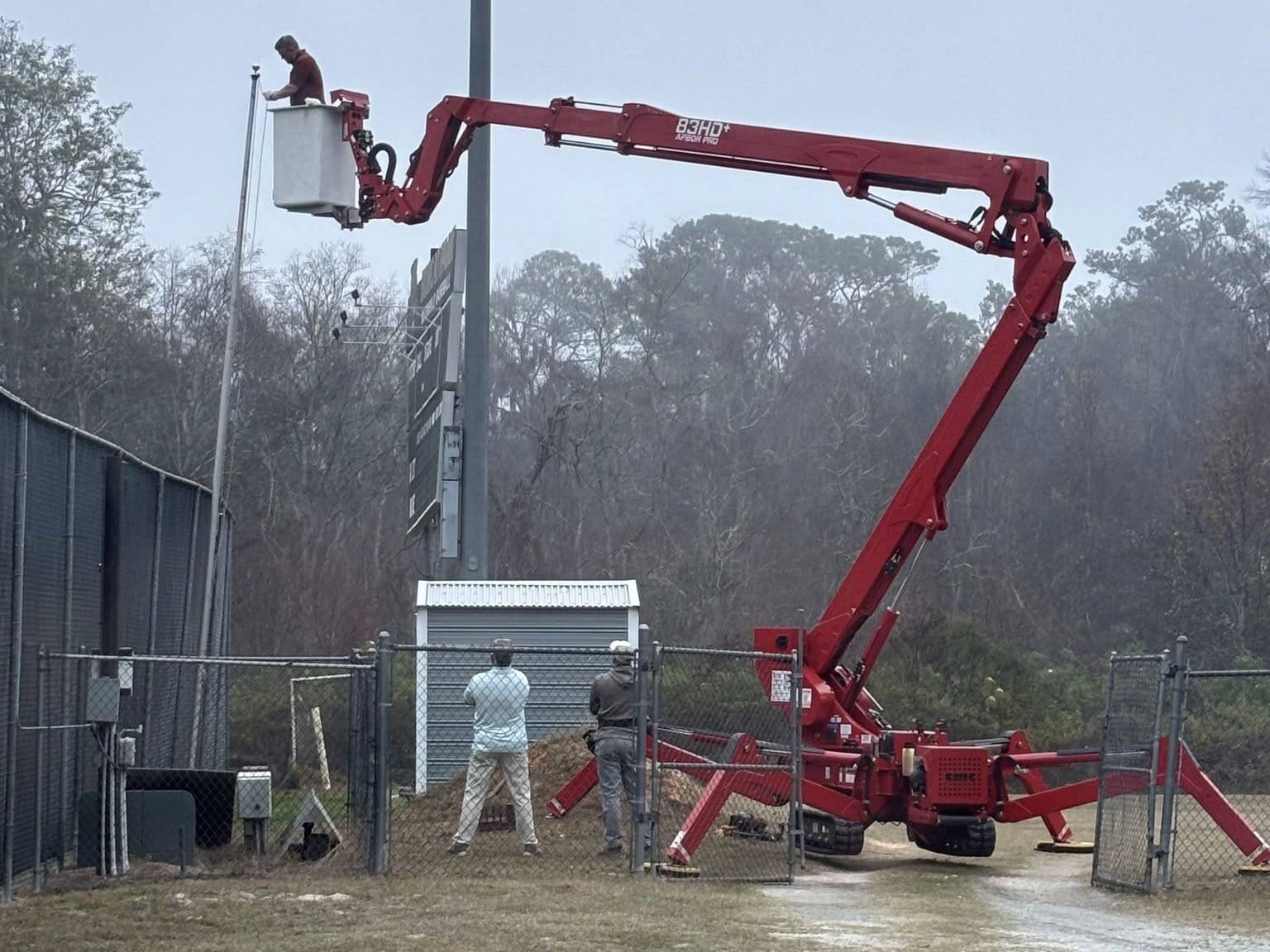 comprehensive site prep gainesville trees