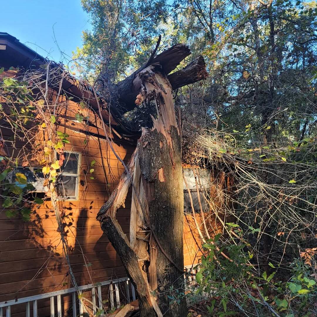 Emergency tree services