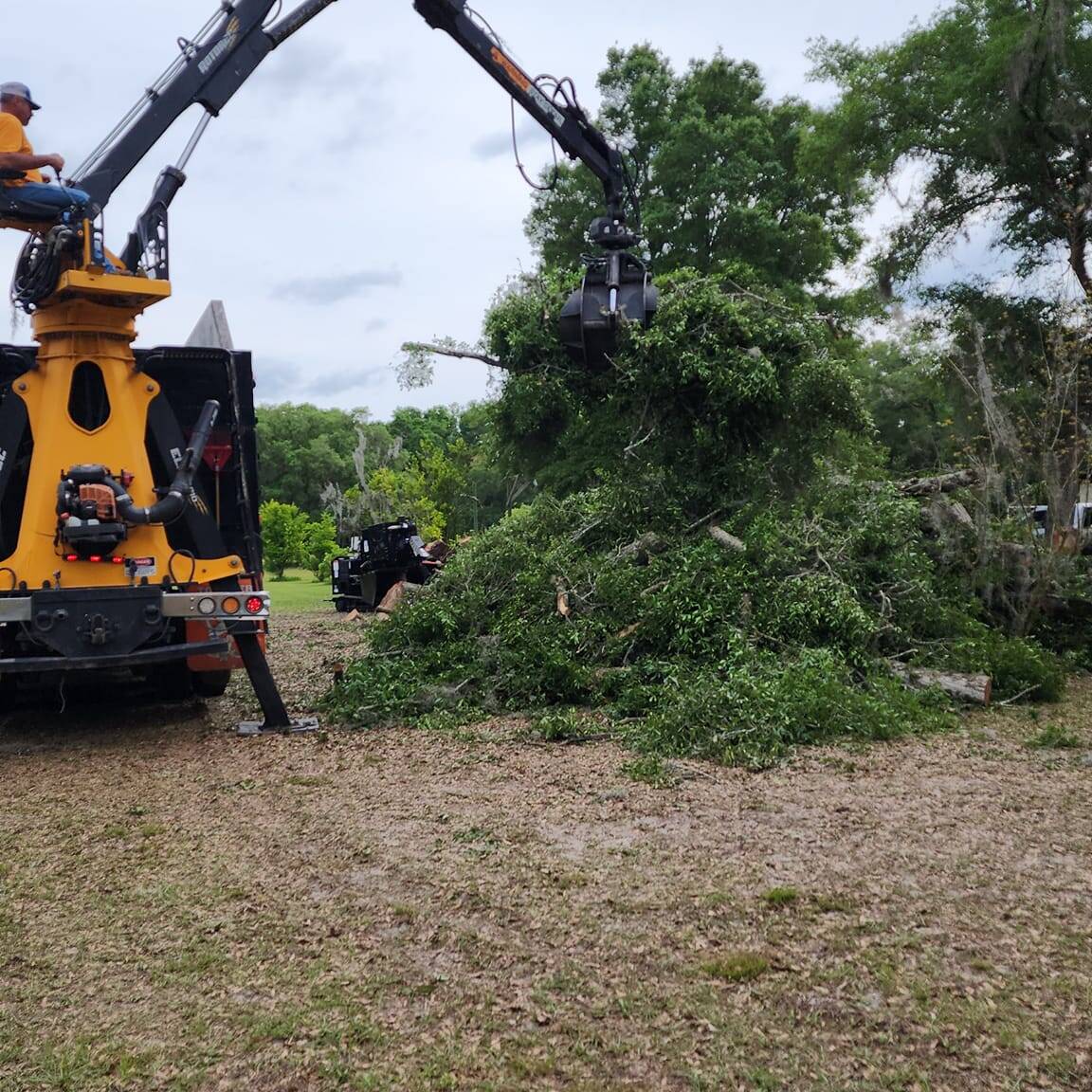 land clearing gainesville florida ocala