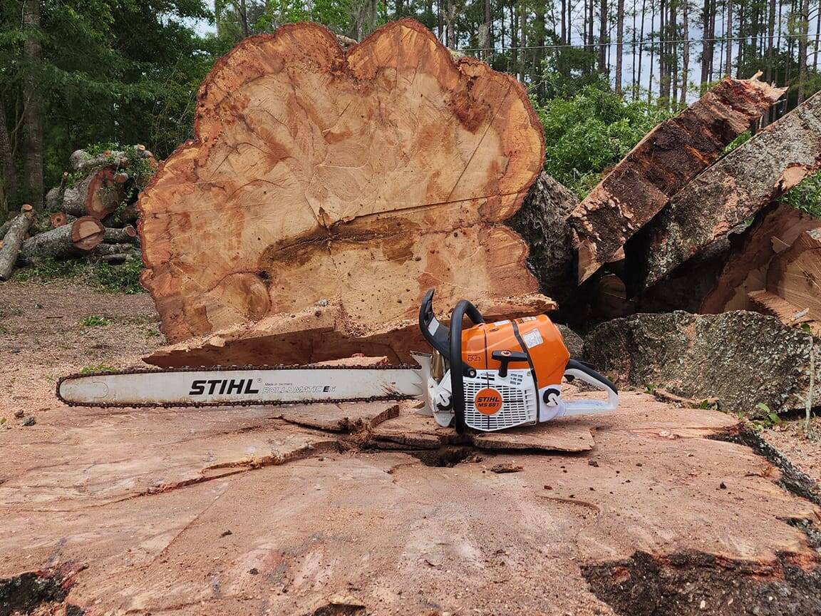 New homes to pastures gainesville tree clearing