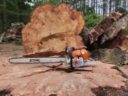 New homes to pastures gainesville tree clearing