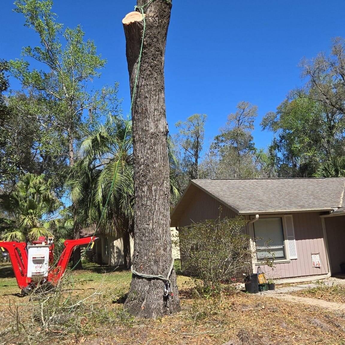 Outdoor services florida