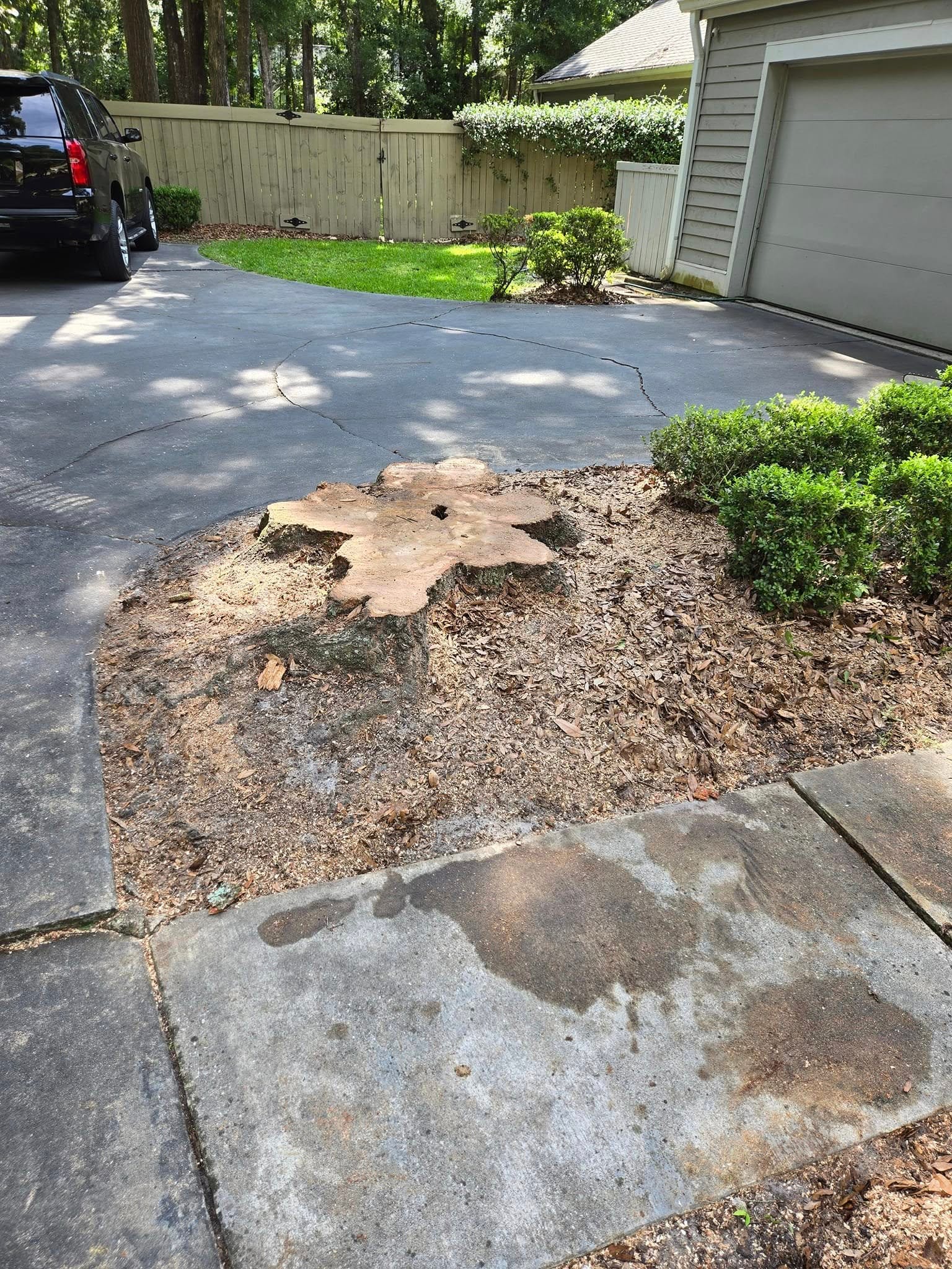 Strump grinding before florida