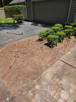 Stump grind after