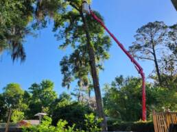 Tree removal signs